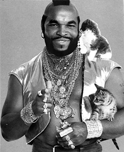 There's Gronk because I know at least some of you love him.