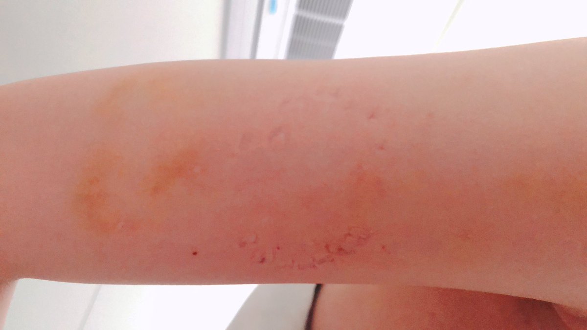 오늘도 냠냠했지..😏