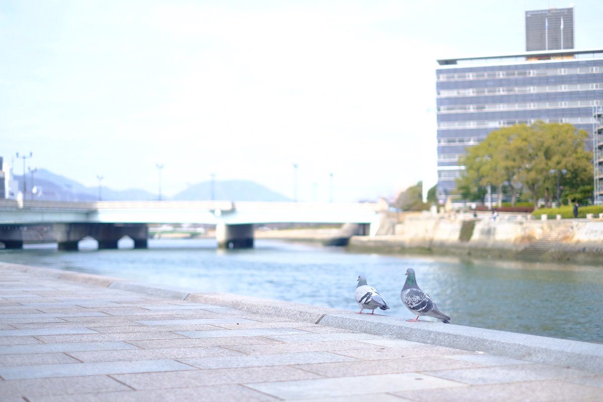 uji_kawa's tweet photo. 広島といえば。
#fujifilm_xseries 
#xe3
#カメラのある生活
#週末photographer https://t.co/ZuJGkYI7qe