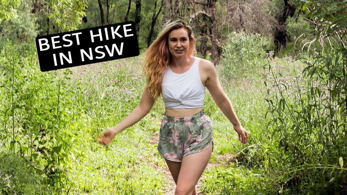 We have made it to the Warrumbungle National Park! Today we attempt the breadknife and grand high tops walk. a 14.5km hike that promises to have some of the most spectacular panoramas in all of NSW. #Australia #VanLife

youtu.be/oNkHhZG9VCQ