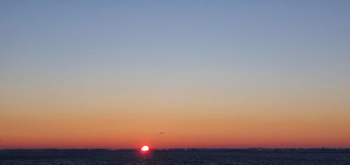 “An early-morning walk is a blessing for the whole day.”