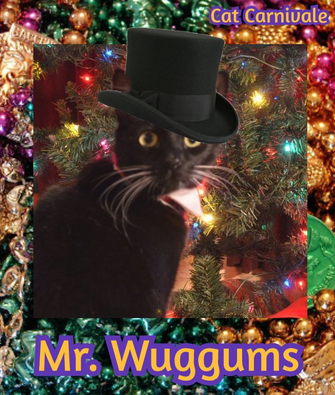 MrWuggums's tweet photo. Hello furriends!
#CatCarnivale is a safe space where all #CatsOfTwitter #Anipals & kind souls can gather in love & community.
#NoBullying #NoPredators & no enablers of such behavior will be tolerated! If you feel unsafe, do not handle this on your own, @ one of us tagged here.๐ https://t.co/3WVAAWbTNe