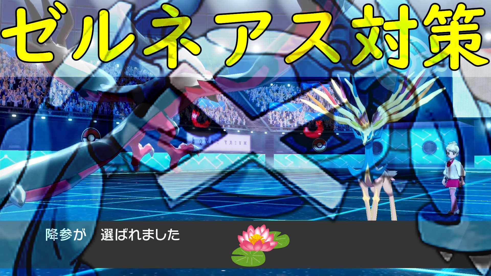 ゆっくりろーたす ポケモン剣盾 Lotuslowly Twitter