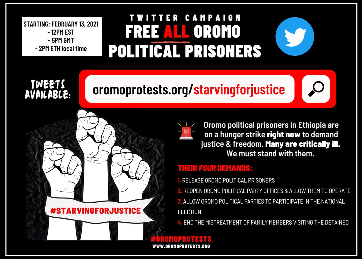 oromoprotestsHQ's tweet photo. Join our Twitter campaign starting soon. This is day 17 of Oromo political prisoners’ hunger strike. We MUST stand in solidarity with them as they risk their lives for justice and freedom!

Tweets will be available at the link in our bio ✍🏾

#StarvingForJustice #OromoProtests https://t.co/3HcVxtvAxz