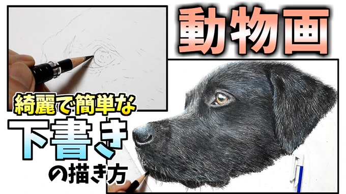 解説動画アップしました色鉛筆画で動物画を描く時におススメの下書きの方法↓よろしければ参考にしてみてください('ω')ノ色鉛筆画 #動物画 