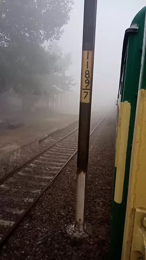 ayeshacallgirl's tweet photo. Fellinglove:#pakistanrailway #railway #Jinnahexpress #1crorelove #_lik_me_follow_me_ #like #deep_felling_of_love #SnackActingStar #crazyrider #myliveshow #mylifemychoice #snowwonder #magictrend #longlivekashmir https://t.co/NEECoASOQG https://t.co/or9gZOajH0