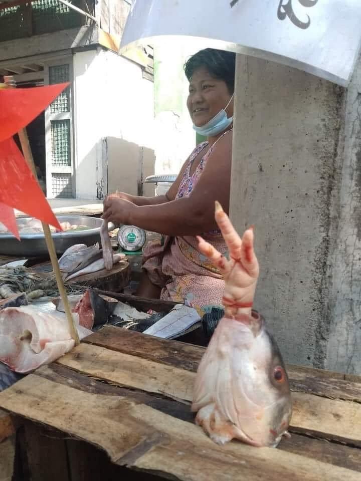 A fish monger in Myanmar set up a three finger salute protest sign, inspired by Hunger Games movie, at her shop using a chicken foot, a rubber band and a fish head. If this is not art, what is?

crd: ye myint
#WhatsHappeningInMyanmar
#Feb11coup