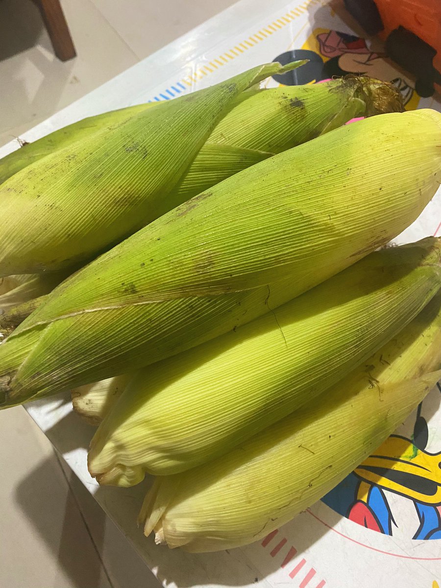 lepettypotato's tweet photo. A couple of weeks ago, I bought 1 small piece of sweet corn from SM grocery for about 39 pesos.

Today, I bought 5 kilos (about 11 LAAARGE pieces) of sweet corn from a local farmer for 100 pesos! 100. Friggin. Pesos. Amazing 😮😮😮

Grabe ka SM!!! 🤬

#BuyLocalForLocals https://t.co/Jdx9KD7JY8