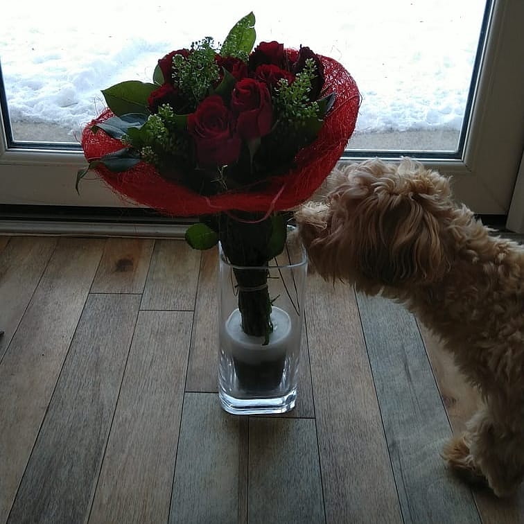 Happy valentine's weekend everyone