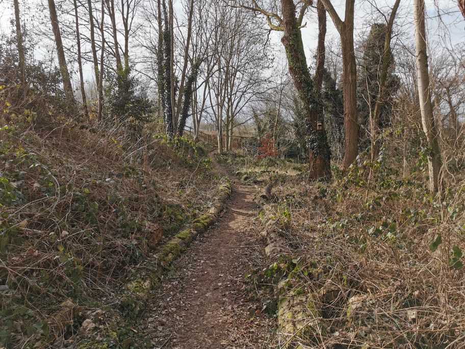 Shells_Travels's tweet photo. Nice little 5k, my first walk outside in nearly 2 weeks! Leg feels OK but physio said to go slow and gentle and definitely no running for at least 2.5 more weeks. Nice to get some fresh air though. #happieroutside #walking https://t.co/7uL7fISqBO