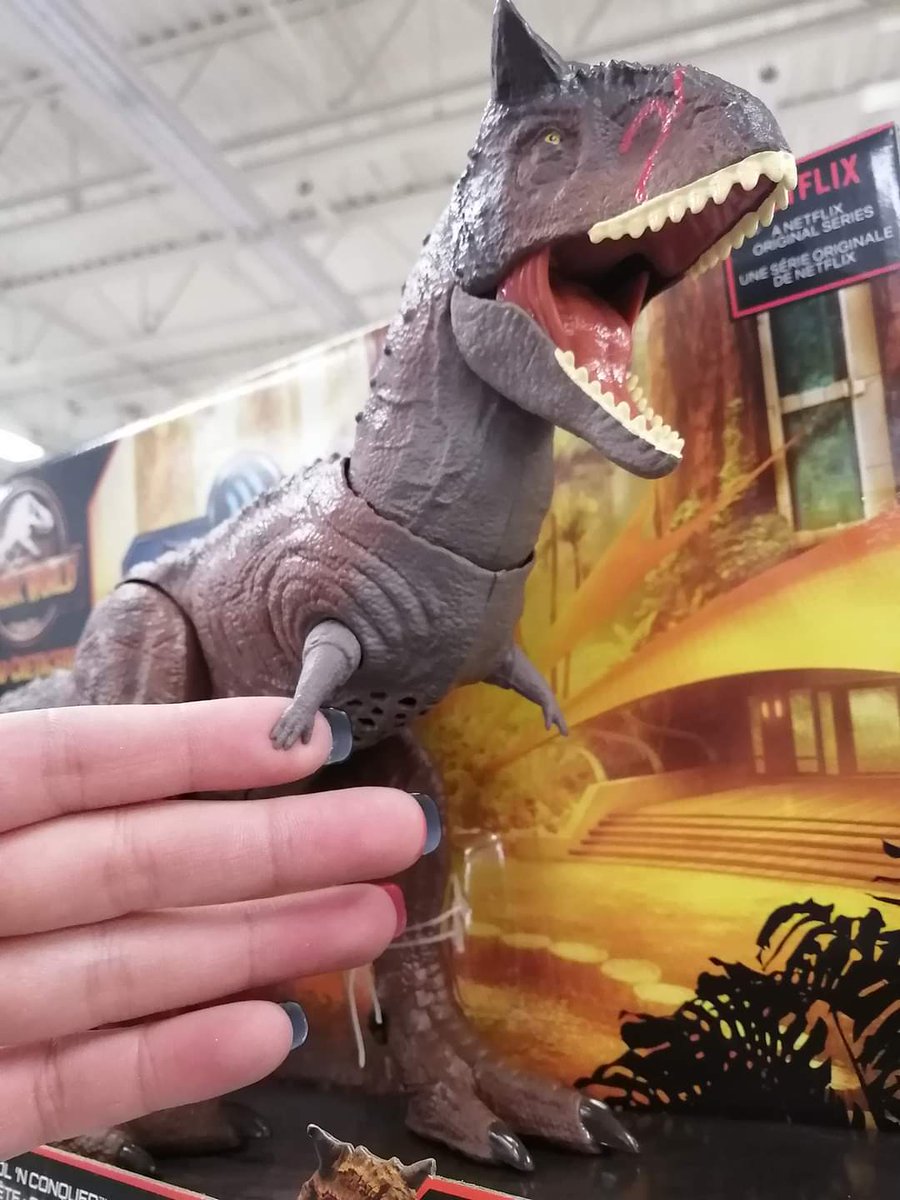 GanonAlex's tweet image. Hahahaha wife sent me this... it has tiny people hands!