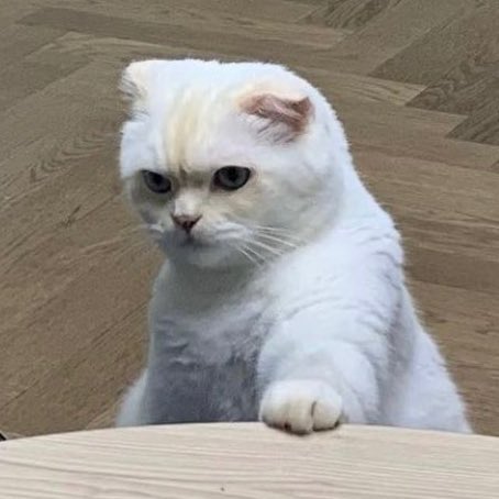 น้องเฟรย่าตอนพับจีแลค ♡