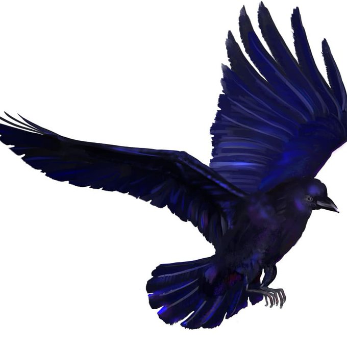 カラスのtwitterイラスト作品