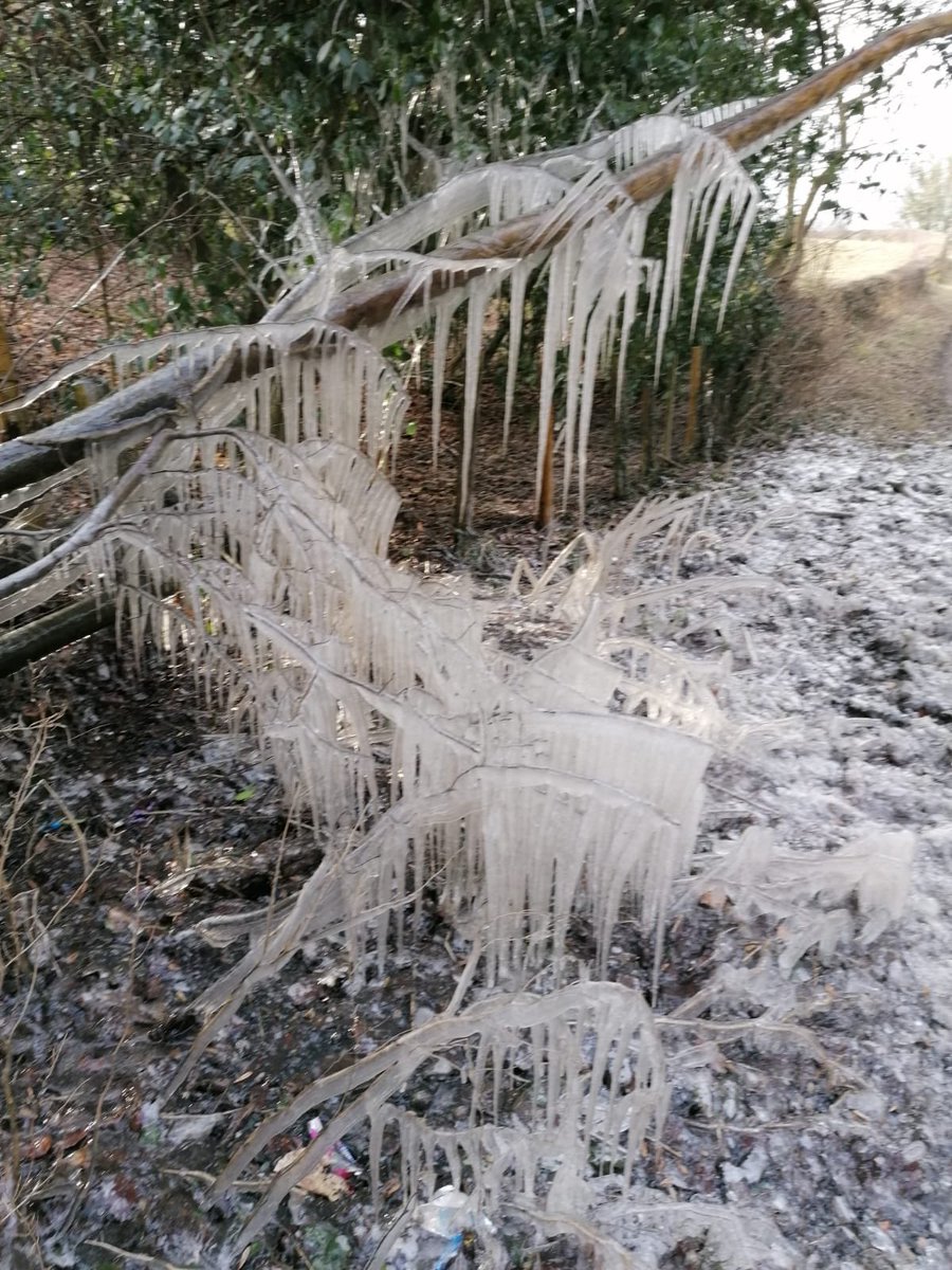 Beautiful ice display in Tinkersdale Woods, Hawarden #hawarden