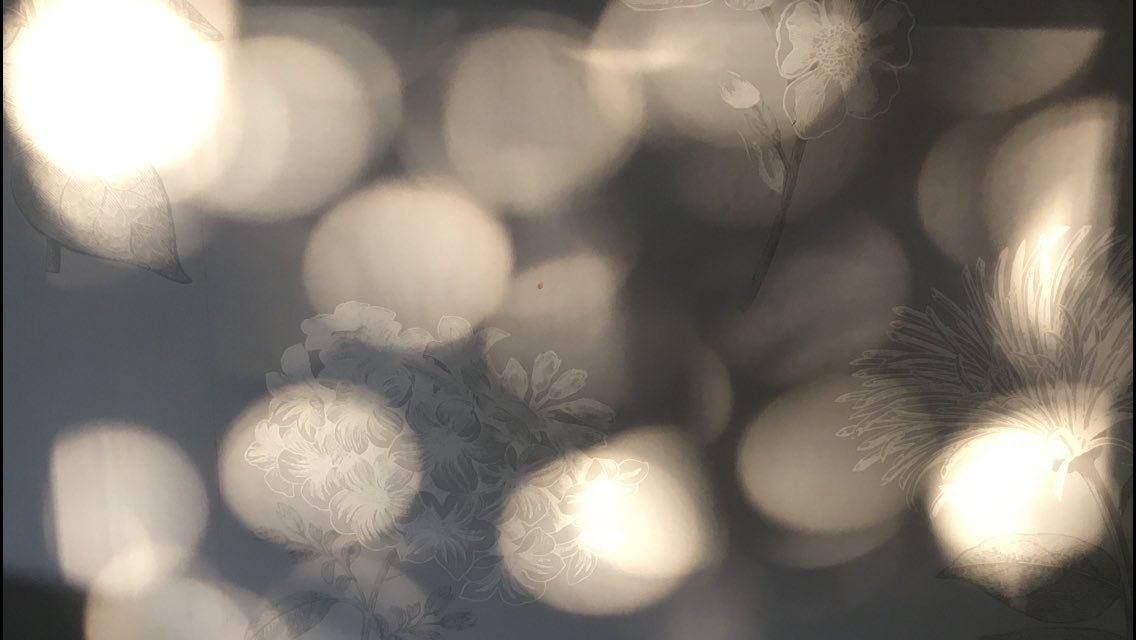 #WritingCommunity
#PhotographyIsArt 
Early morning dappled light on my living room wall. (No filters used).
    ✨✨✨✨✨✨✨