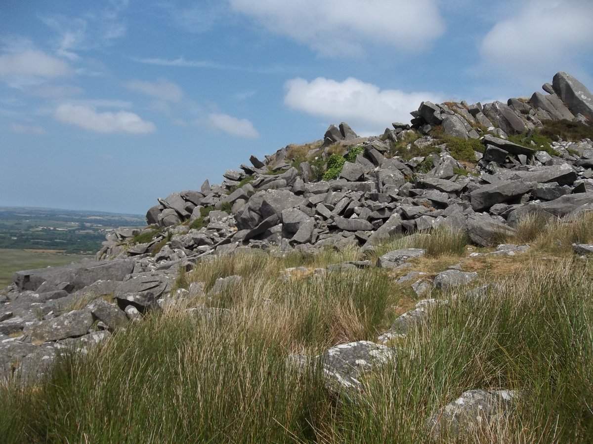 The source of the spotted dolerite on Carn Goedog and the rhyolite at Craig Rhosyfelin was not really developed during the programme and certainly no connections with these 'quarries' made with Waun Mawn - which would seem a logical area of research