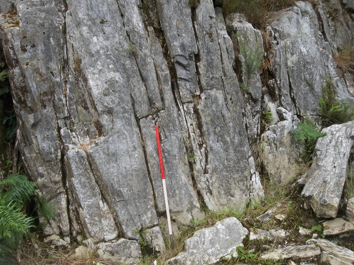 The source of the spotted dolerite on Carn Goedog and the rhyolite at Craig Rhosyfelin was not really developed during the programme and certainly no connections with these 'quarries' made with Waun Mawn - which would seem a logical area of research