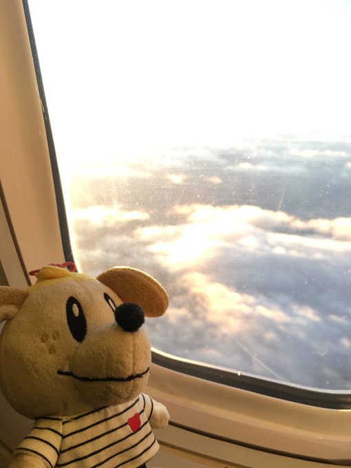 ジェネ犬のtwitterイラスト検索結果