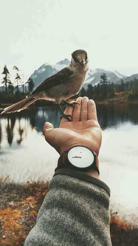 وإن آخذني الموت يومآ 
ولم نلتقي فلا تنسى أنني كنت 
آتمنى لقائك كثيرآ 

عوده بعد غياب طويل