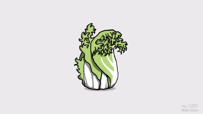 葛飾白菜 