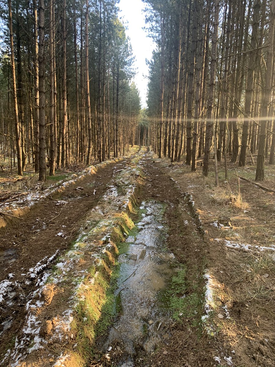 Ran for the first time properly for 2 months today - the hardest part was opening the door and the first few steps! Stopped to take this photo to remind myself that no one has GOT to run, we GET to run! Change the message! #SCCSport #SCCPE