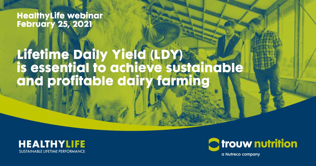 On 25th of February 2021, Dr. A. Römer will inform you about the Lifetime Daily Yield.
LDY is the total lifetime production of a dairy cow, divided by the total number of days of her life.

You can learn more by subscribing to the HealthyLive webinar here: ow.ly/tCOl50Dwphp