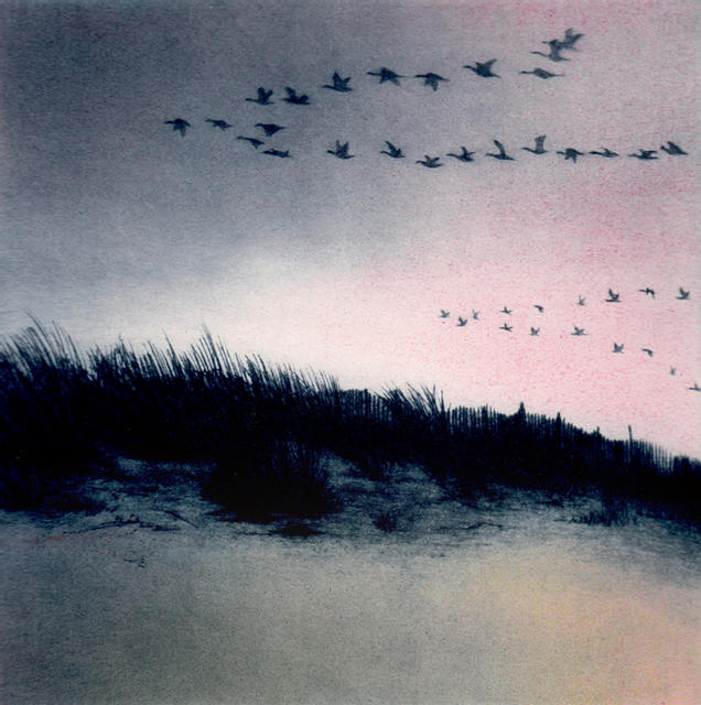 womensart1's tweet photo. 'Coastal Skeins 2 (pink)' by contemporary UK printmaker Angela Brookes #womensart https://t.co/aQmSZP1w9U
