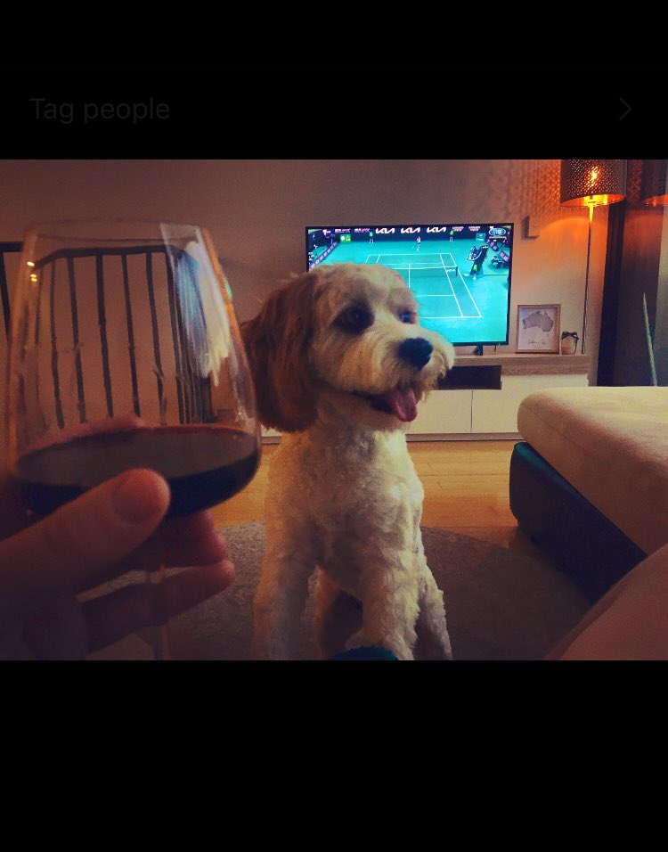 phayes92's tweet photo. Flew to Melbourne Friday so we could see the goat in action tonight @RafaelNadal. Gutted the crowds were cancelled but lucky to get back home so quick. At least the dogs happy we’re home. #AO https://t.co/kg9WI837PG