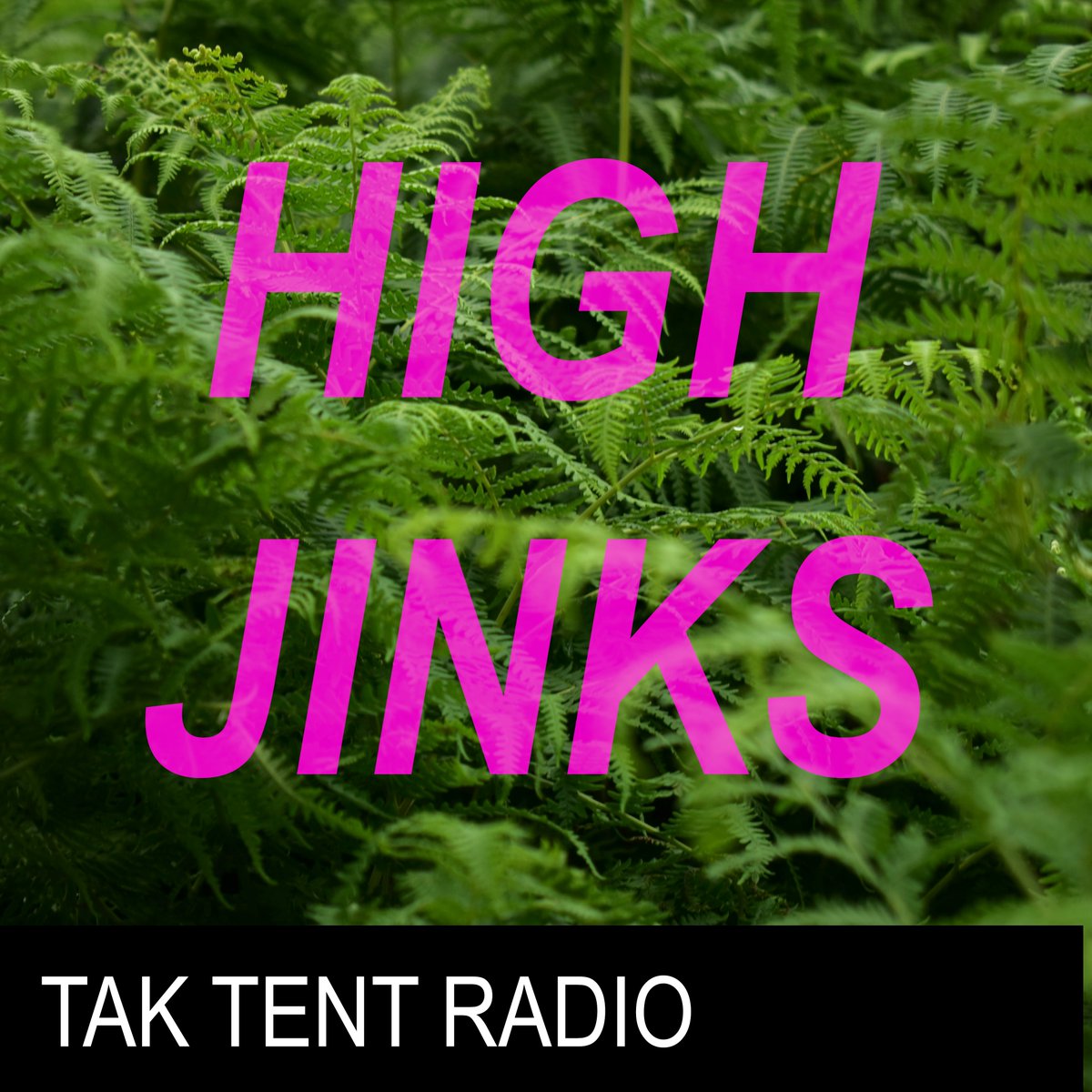 Tak Tent Radio tweet media