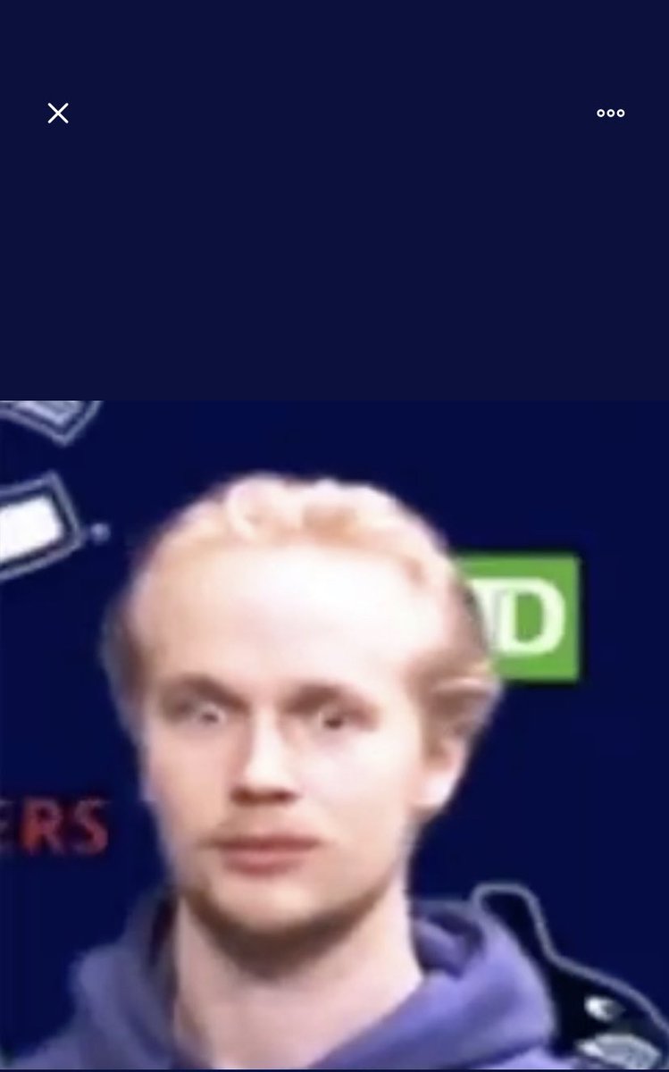 Elias Pettersson As Cats   [a thread you didn’t know you needed ]