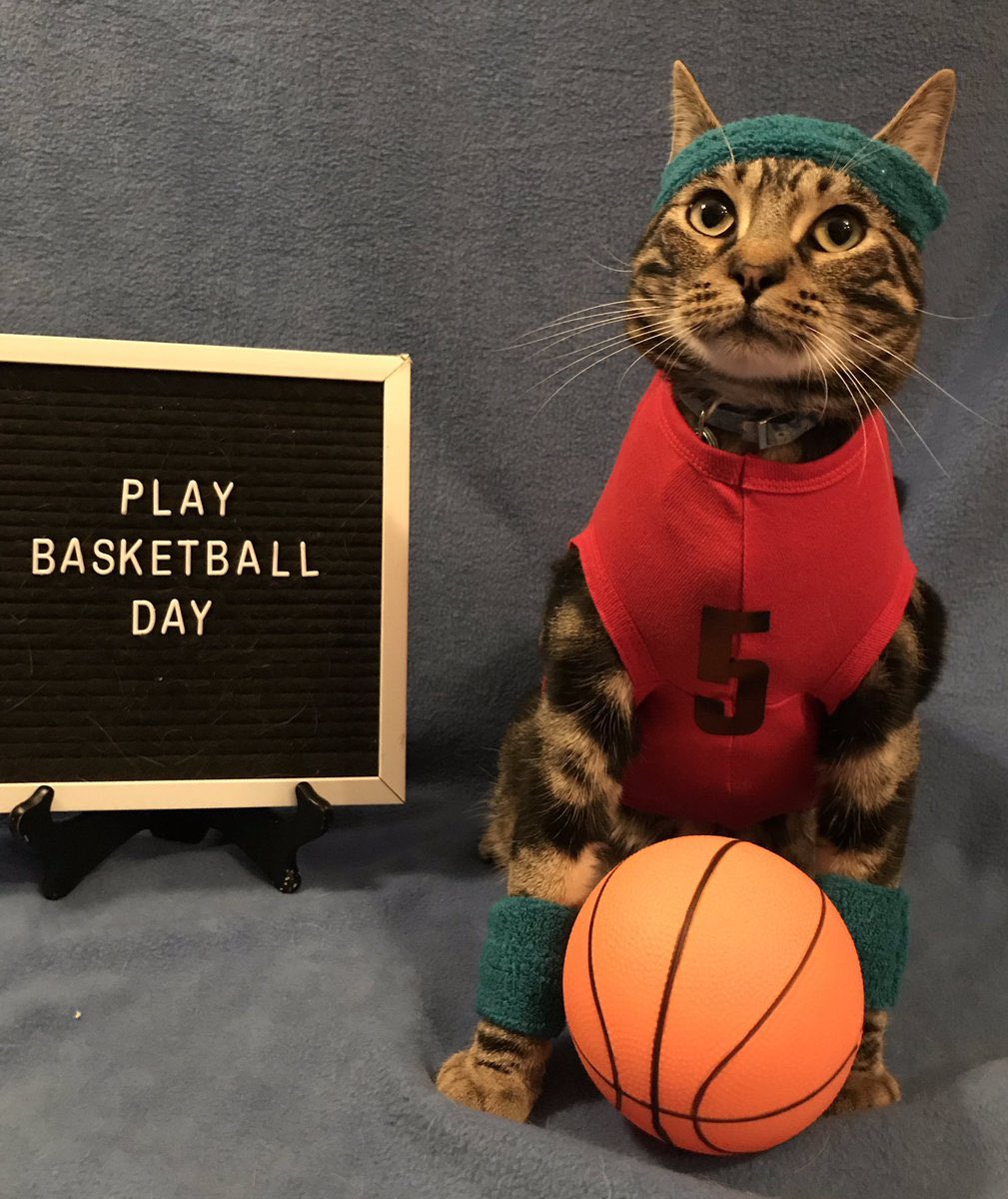 Elias Pettersson As Cats   [a thread you didn’t know you needed ]