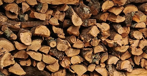 alsiasocial's tweet photo. #Foritaly, anche in #Basilicata un cantiere forestale dimostrativo. Sarà organizzato a giugno dalla Regione, responsabile per il Sud. Nel progetto previsti corsi di #formazione per operatori del comparto. #Foreste
LEGGI QUI: https://t.co/KWXAZSrd7c https://t.co/mNxPfLla6M