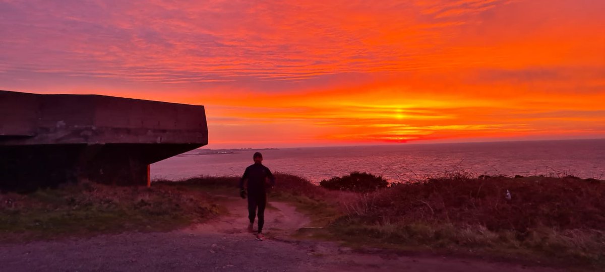 harry mcalinden tweet media