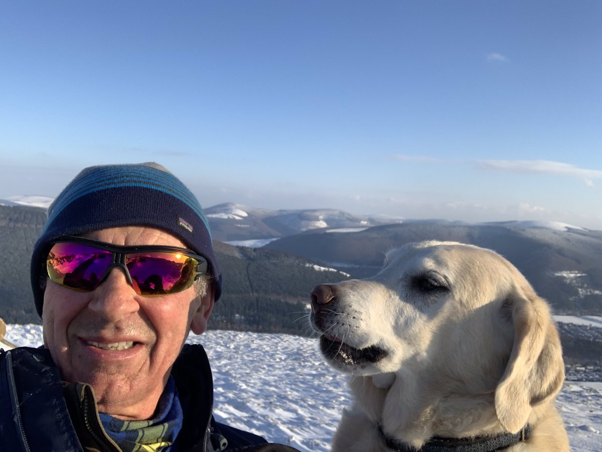 Denis Robson tweet media