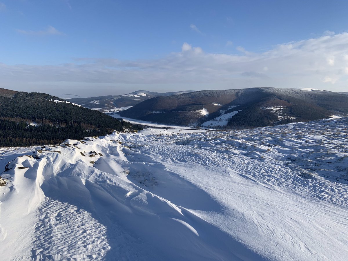 Denis Robson tweet media