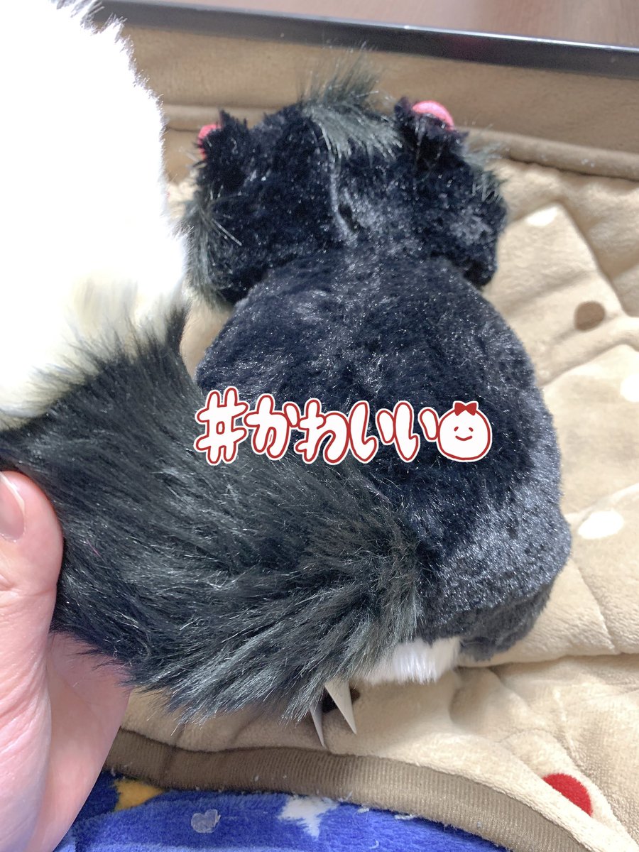 ぱぴ ルシファー届いた かわ 手ざわりふわふわ Disneystore ディズニーストア ぱぴ ルシファー届いた かわ 手ざわりふわふわ Disneystore ディズニーストア