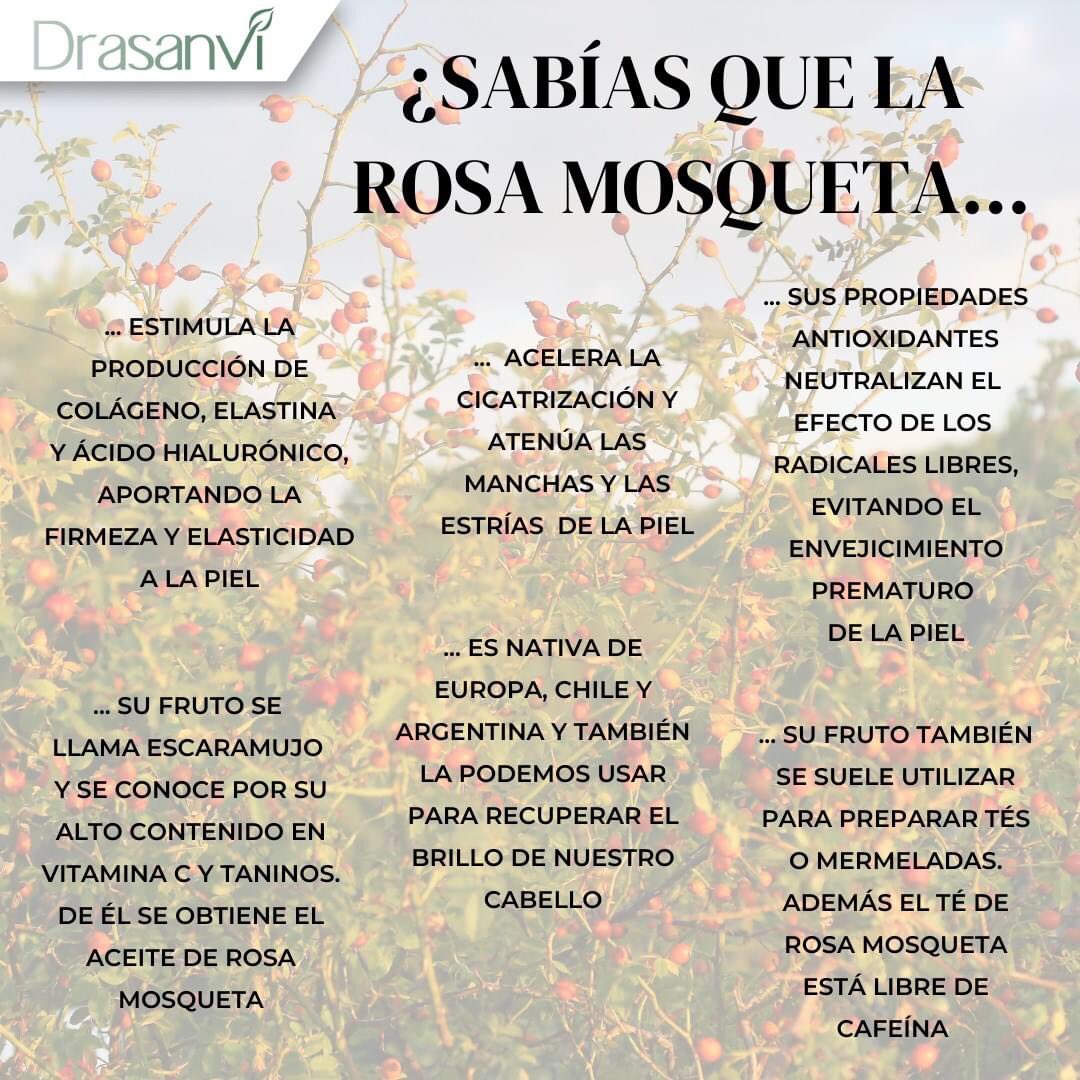 Herboristería Nieves (@herbonieves) on Twitter photo 