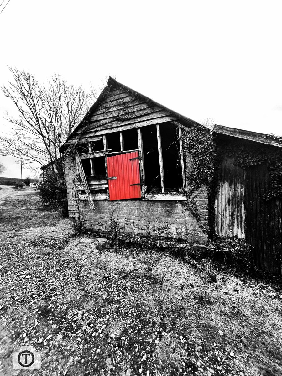 photodgraphy's tweet photo. I love the history and beauty in this old derelict Devon barn!

#Beautybarn #barn #Red #Farmers #Farmer #Devonbarn #Potd #History #coloursplash #britishbarn #britishfarm #photogram #oldbarnsofinstagram #devon #southwest https://t.co/254tOTW32r