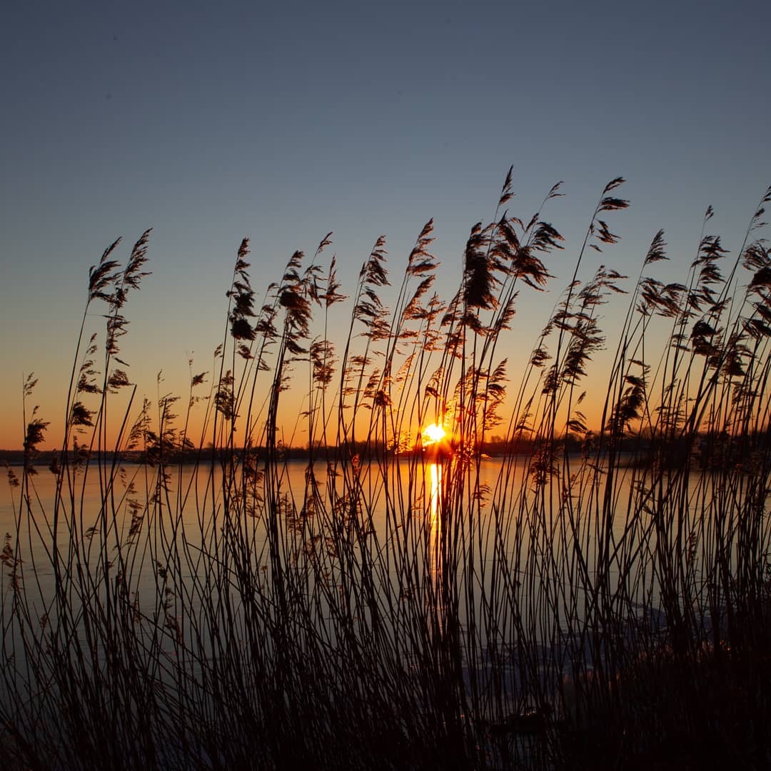 DPvanLoo's tweet image. Schaatsen op de #Rietplas in #Emmen om 8.00 uur bij -12C. #Drenthe @Weerplaza @Alpenweerman @marcopverhoef @helgavanleur @KNMI @Talpaweer @weeronline @BuienRadarNL @RTVDrenthe @dvhn_nl @KNSB @NoodweerBenelux @