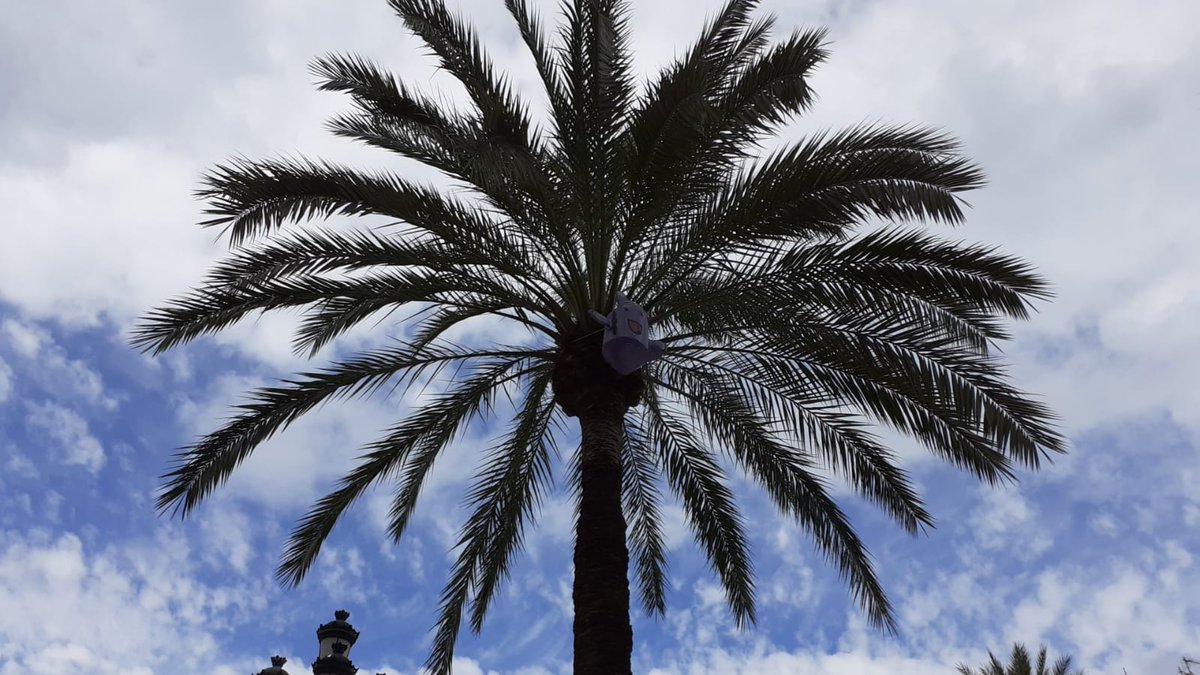 🤩Quin goig veure la plaça de la Vila amb les banderes! Fa un dia fantàstic per passejar i veure l'homenatge als comparsers i comparseres!
🍬La plaça serà sempre vostra!🍬

‼ Mireu la darrera imatge, heu vist qui s'amaga?😮
El Dolcet espera que el trobeu!

#CarnavaVNG2021