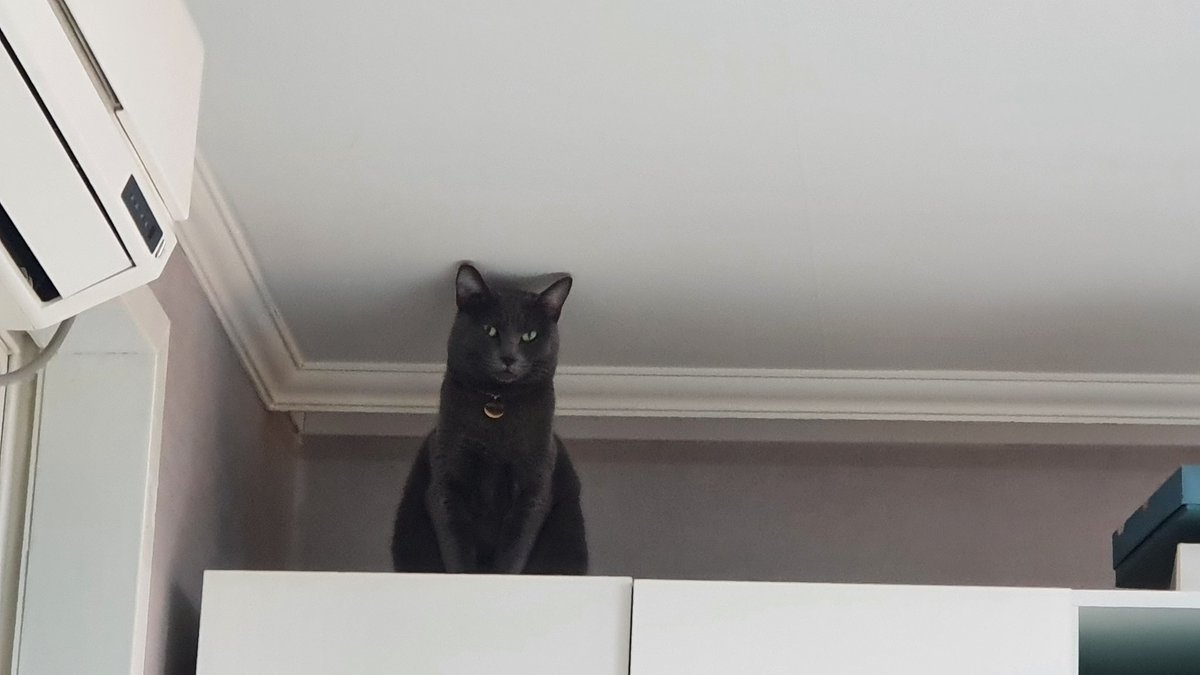 왜? 뭐?

#레옹이