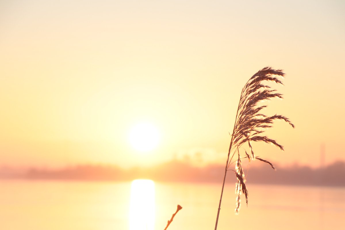 SimoneSteinhar2's tweet photo. Heute morgen so. Moin. #Sonnenaufgang #winter #denmark https://t.co/kumnvnGgZS