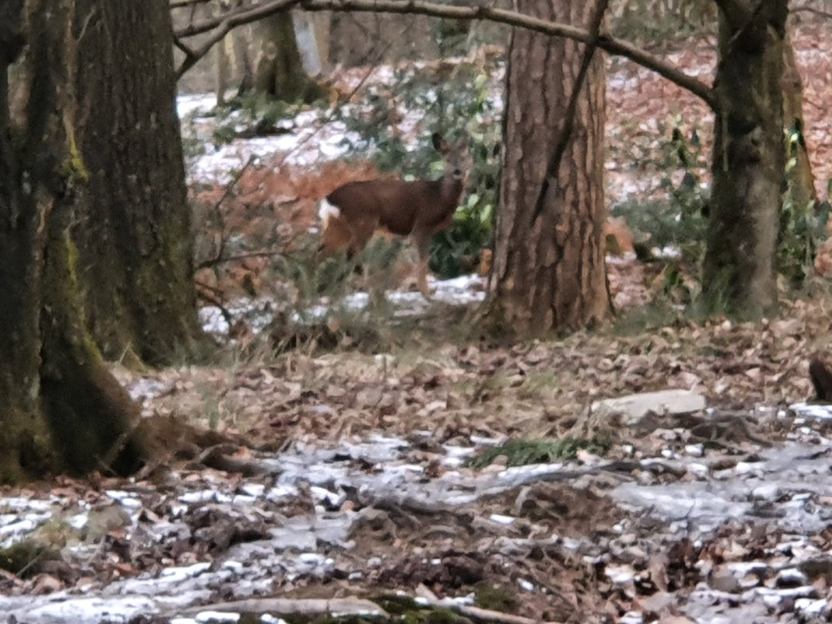 Brian Sweeney tweet media