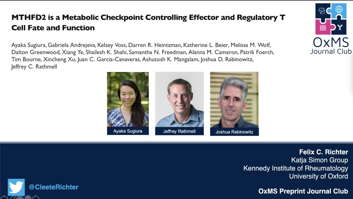 CleeteRichter's tweet photo. Great presenting and discussing this #preprint @preprintclub yesterday. Interesting work by @SugiuraAyaka @JeffRathmell and Joshua Rabinowitz. Really looking forward to further studies on #MTHFD2. Wrote a small digest on our website: https://t.co/pIRoechgXJ
Follow @preprintclub https://t.co/cRWFB7ai5r