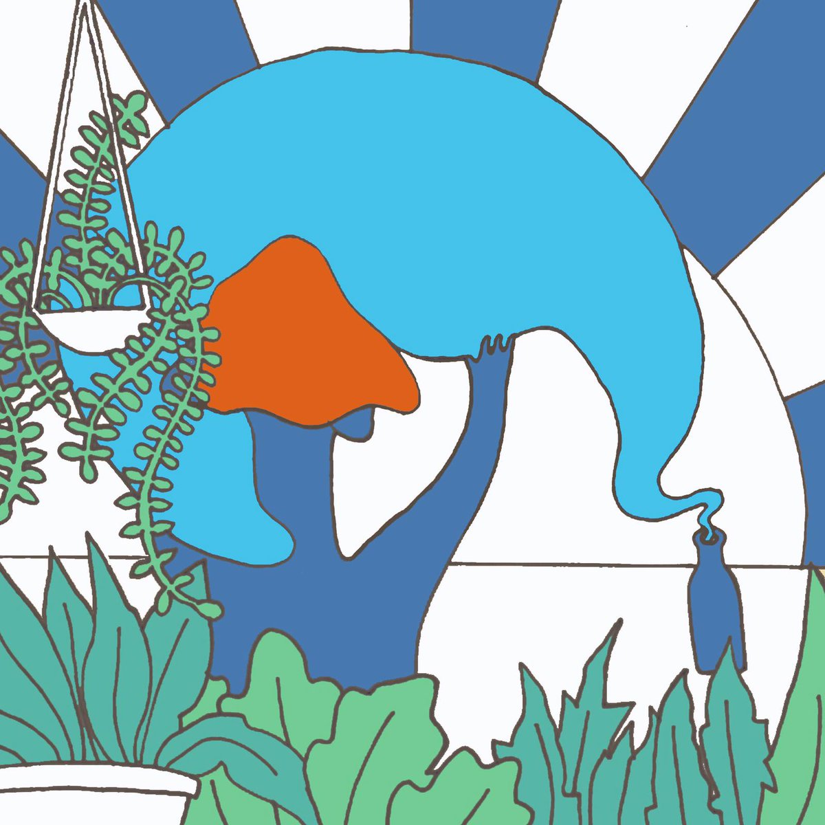 skinetica quintessence