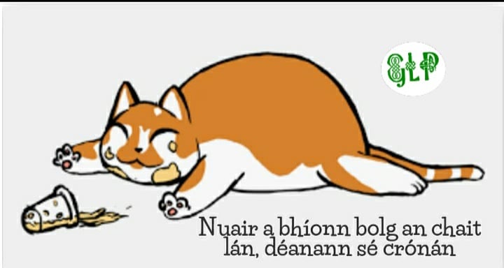 GaeilgeP's tweet photo. Nuair a bhíonn bolg an chait lán, déanann sé crónán #ocras #bia #cat #crónán #seanfhocal #gaeilge #gaeilgelepád #glp https://t.co/BgT1TQEuBJ