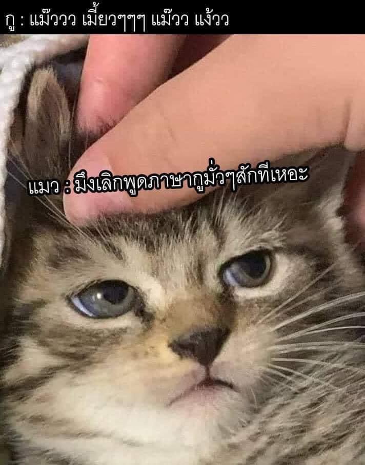 มึงคือ 55555555555555555555555555555555555555555555555555555555555555555555555555555555555