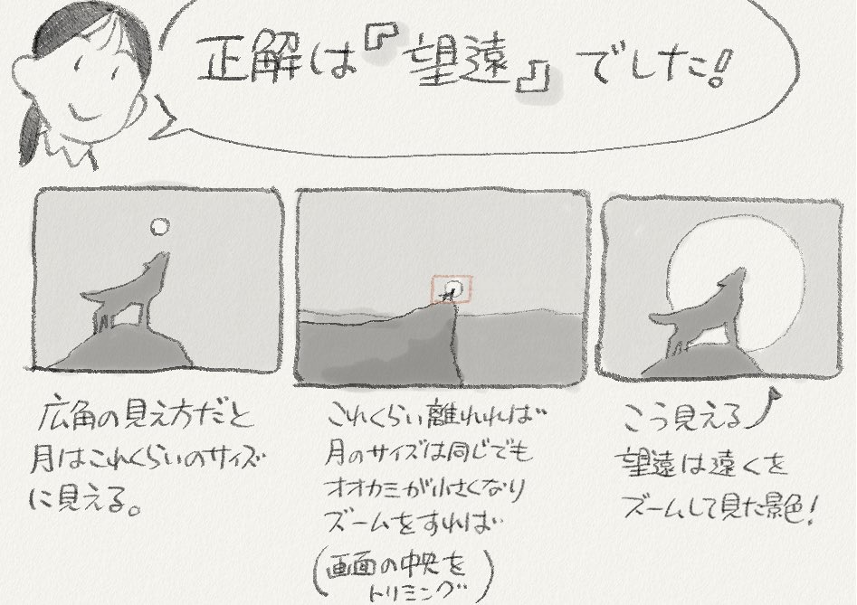 【修正版】
広角と望遠ってなんだっけ?
ザックリ理解しておきたい人向けに漫画を描きました!
『広角と望遠』
#下田スケッチ 