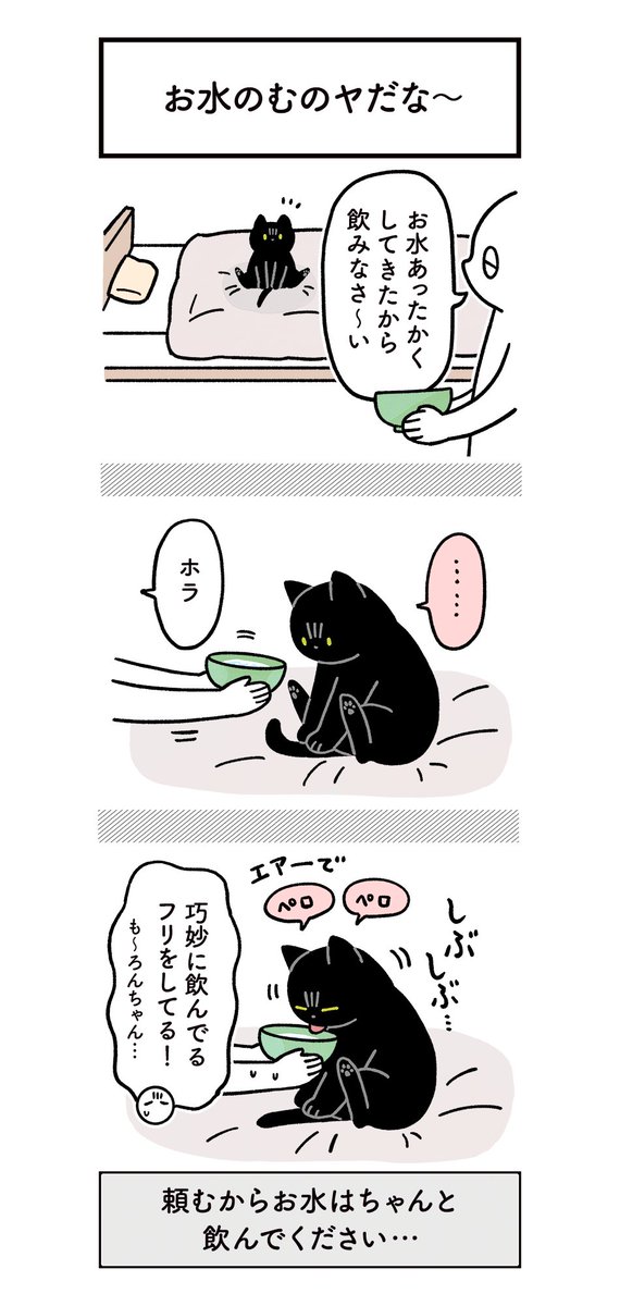 健康のためにちゃんとお水飲んでほしい飼い主と、たまに不条理なねこの絵日記(3まいある)
#ろんの絵日記 