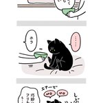 飼い主の苦労も猫には関係ない？愛猫の健康のためにお水を飲んでほしい絵日記!